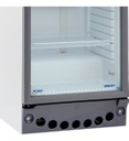 Heladera Exhibidora Briket M 4200