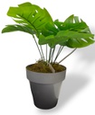 PLANTA DE 35CM