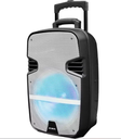 PARLANTE AIWA AW-P1200D PMPO BLUETOOTH 6000W
