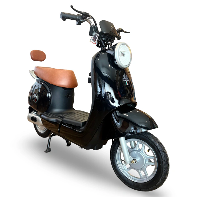 MOTO ELECTRICA NAPOLES 500W NEGRA