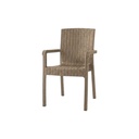 SILLA JARDIN VECTOR V001 SIMIL RATTAN BEIGE