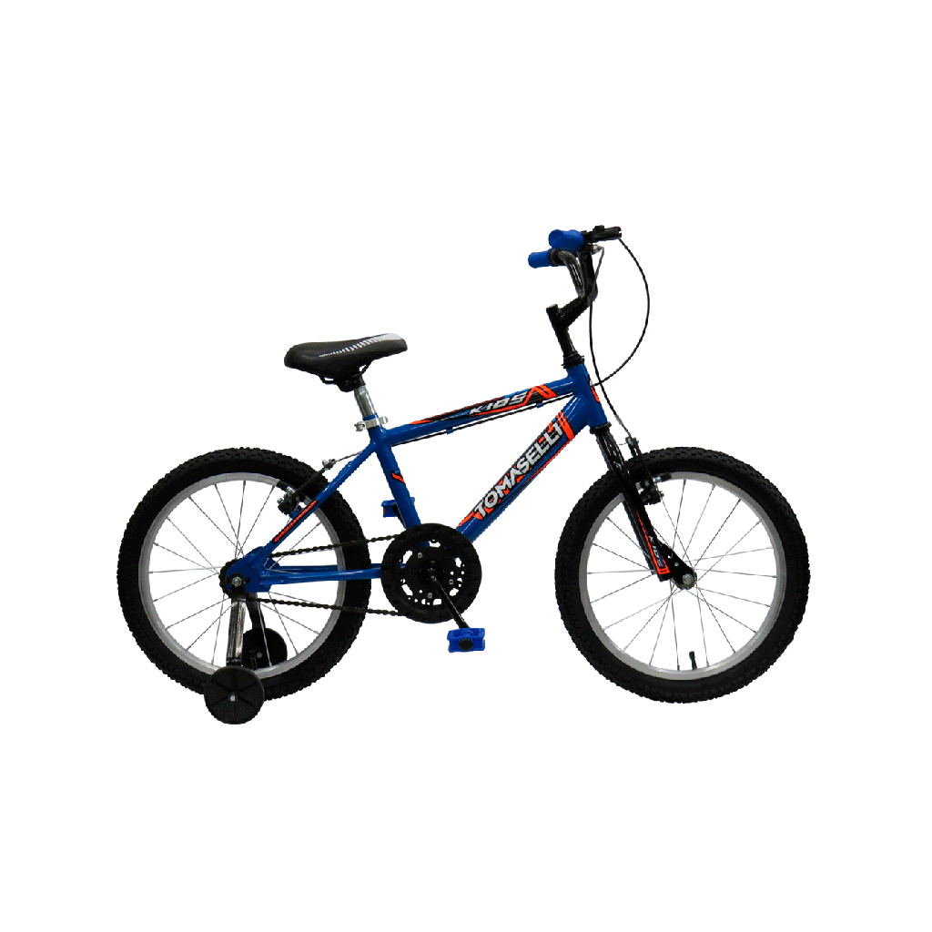 BICICLETA TOMASELLI KIDS ROD 16 VARON TT16V AZUL