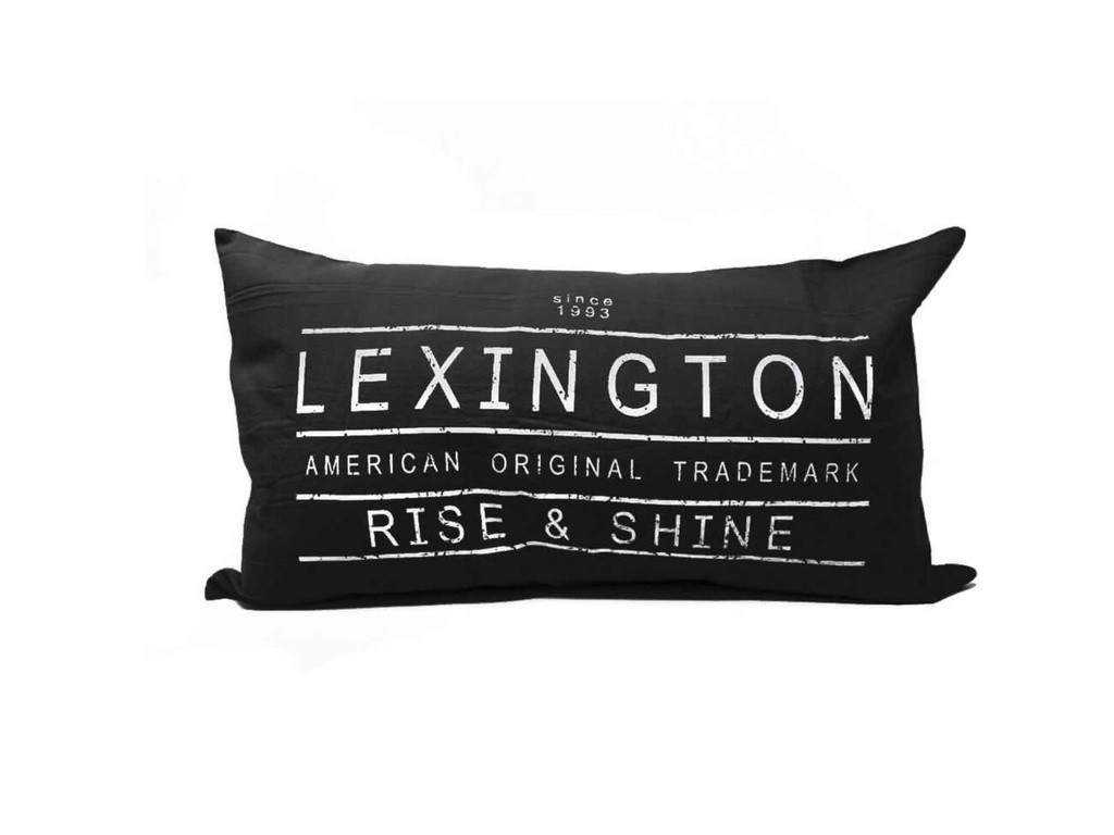 FUNDA ALMOHADON 60X35 LEXINGTON SIL139