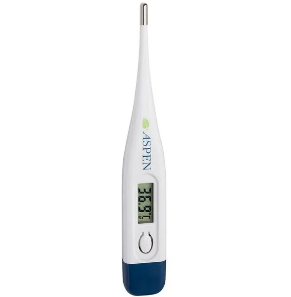 TERMOMETRO DIGITAL ASPEN MT31 3663