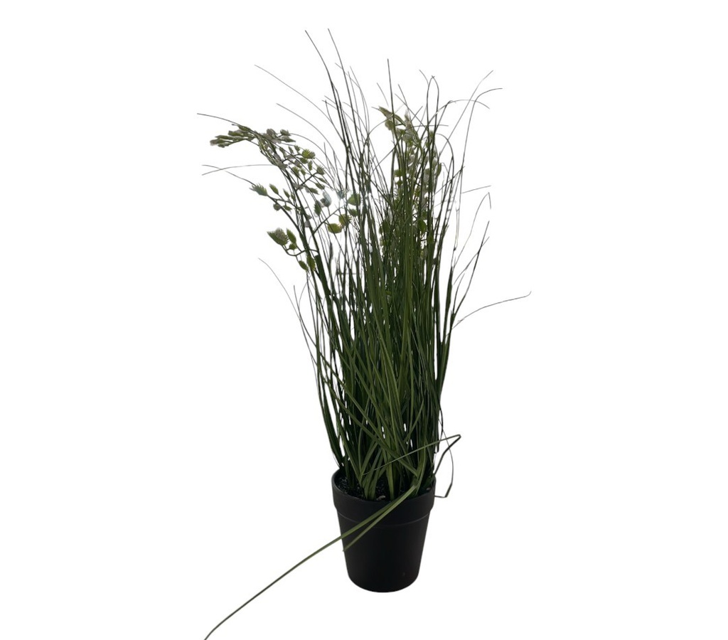 PLANTA MATA 300560