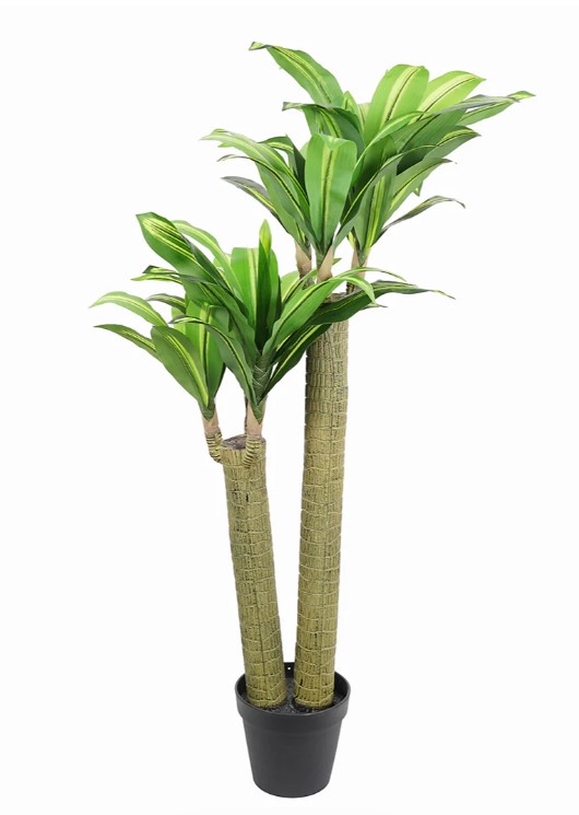 PLANTA PALO DE AGUA
