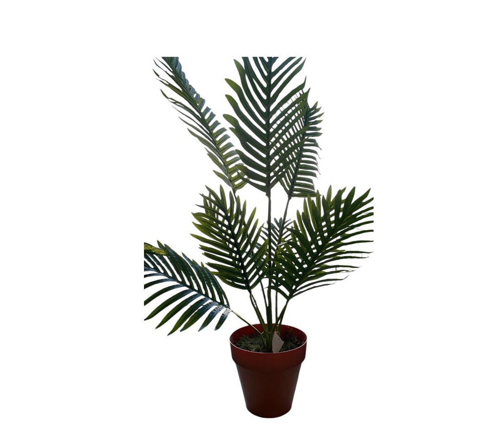 PALMERA 7031