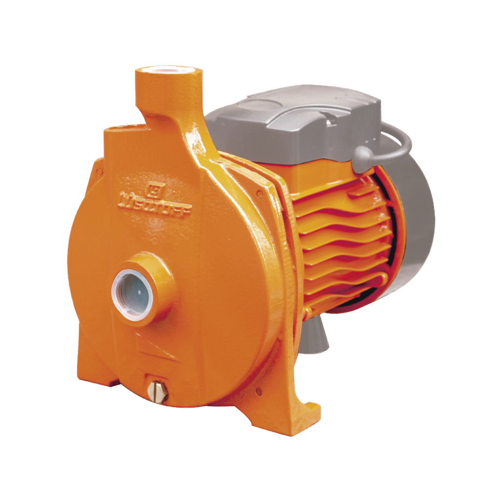 ELECTROBOMBA LUSQTOFF CENTRIFUGA 750W 1HP CPM158