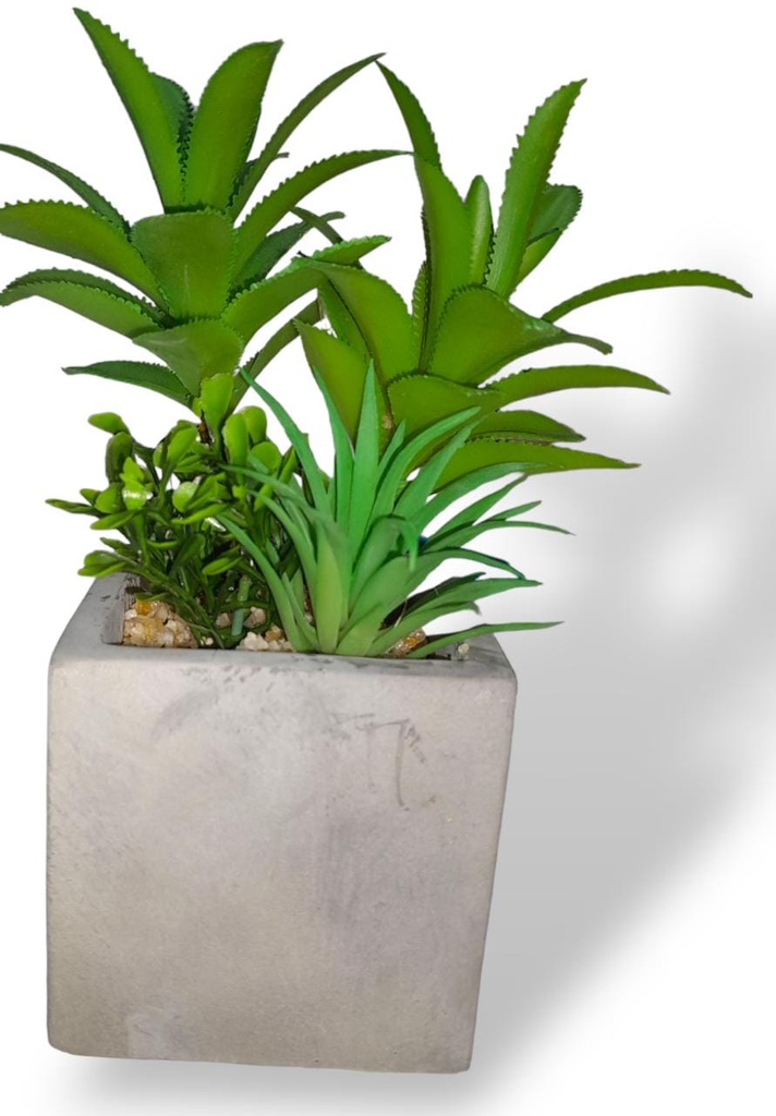 PLANTA 1319
