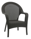 SILLON GARDEN LIFE F785601 RATTAN QATAR NEGRO