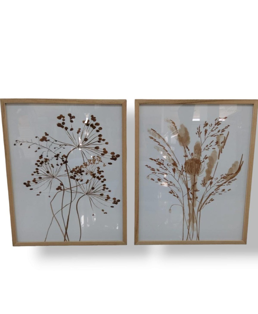 CUADROS GIORDANO 40 X 50 X2