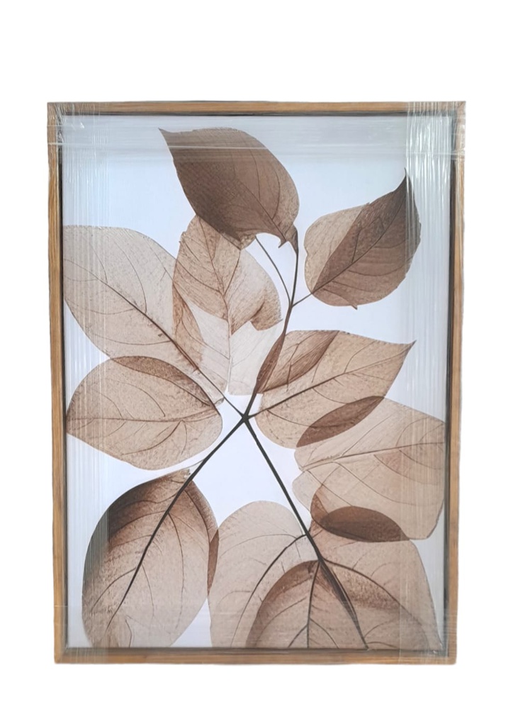 CUADROS CANVA 50 X 70