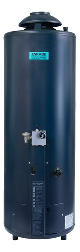 TERMOTANQUE A GAS ESKABE ACQUAPIU HYBRID4 1100 LTS