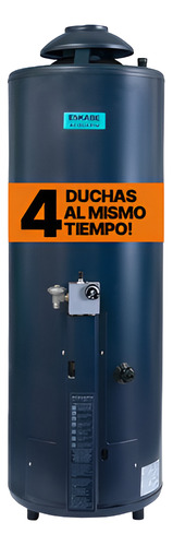 TERMOTANQUE A GAS ESKABE ACQUAPIU HYBRID4 1100 LTS