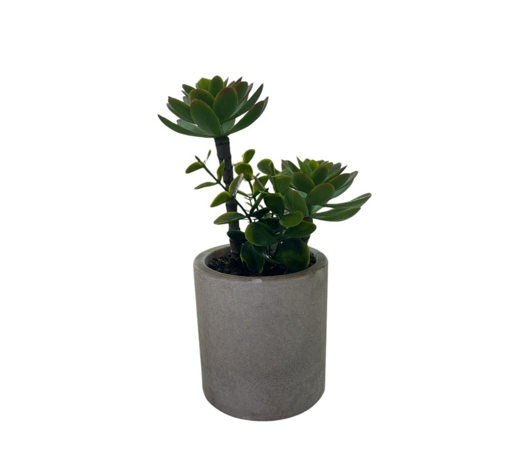 PLANTA CON MACETA LD428