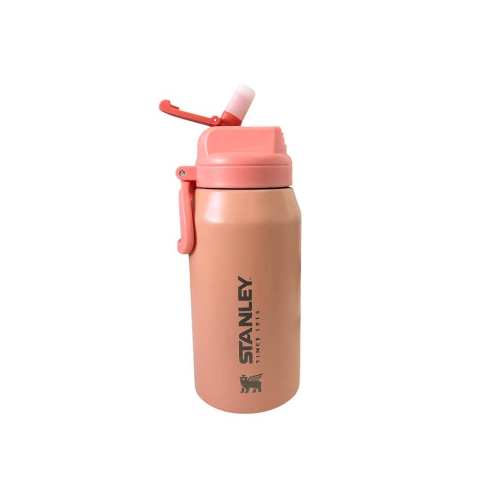 BOTELLA TERMICA STANLEY 600 ML