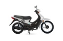 MOTO SIAM QU110 BASE RAYOS TAMBOR BLANCA