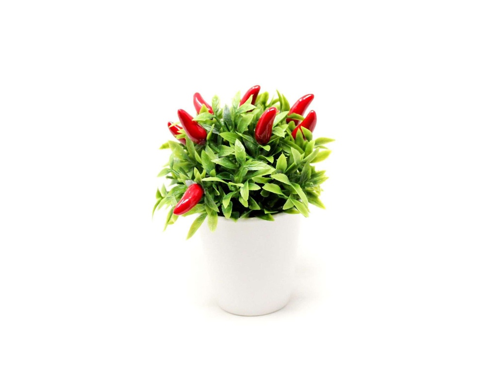 BONSAI CHILLY N3 BC3 10X12 CM