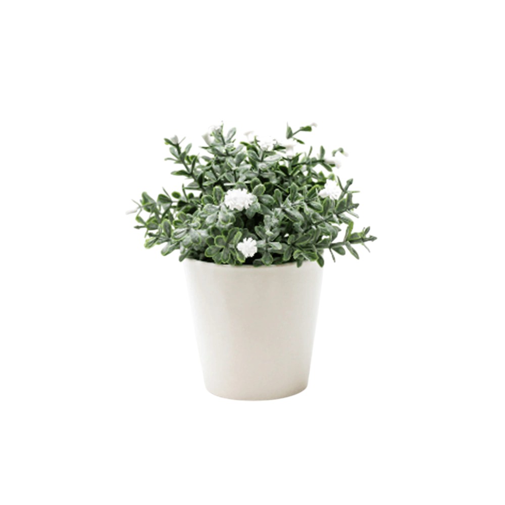 BONSAI FLORES N 30A 8X15 BF30A BLANCO