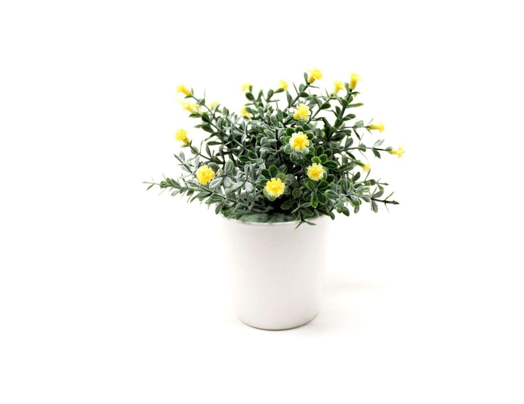 BONSAI FLORES N 30B 8X15 CM AMARILLA BF30B