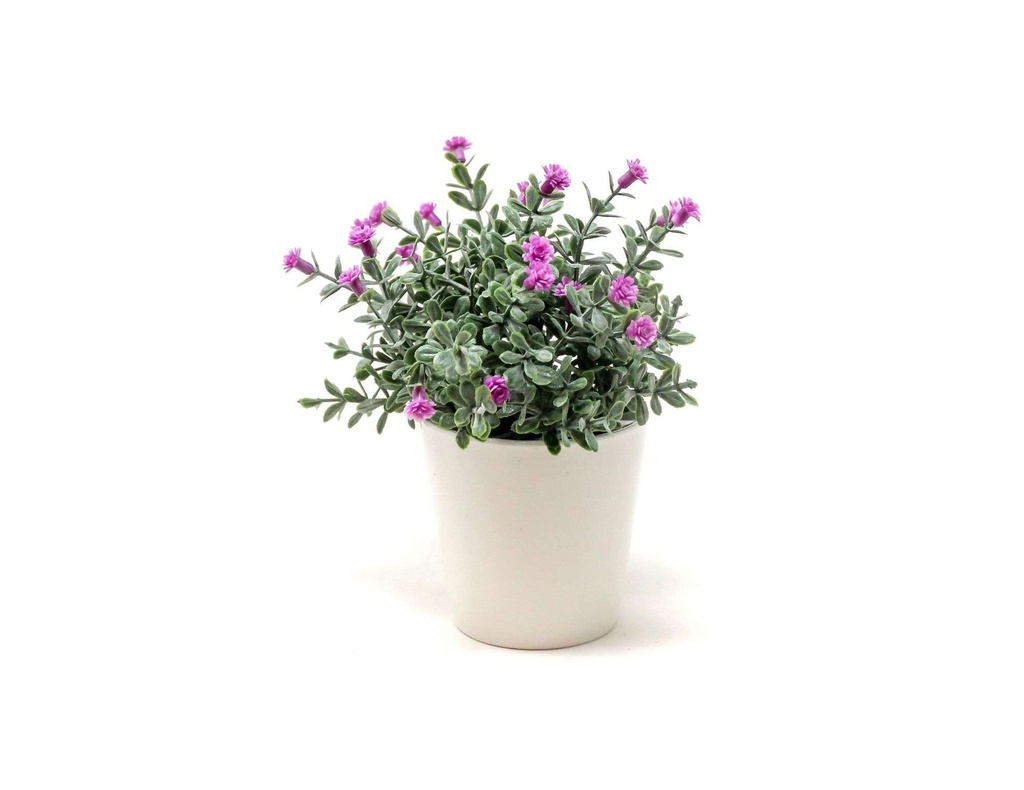 BONSAI FLORES N 30F 8X15 CM PURPURA BF30F