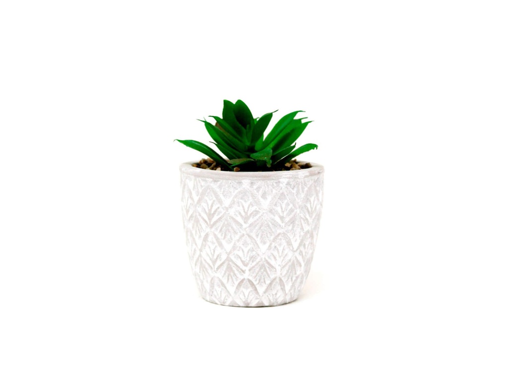 PLANTA CON MACETA CEMENTO N8 5X10 CM CM8