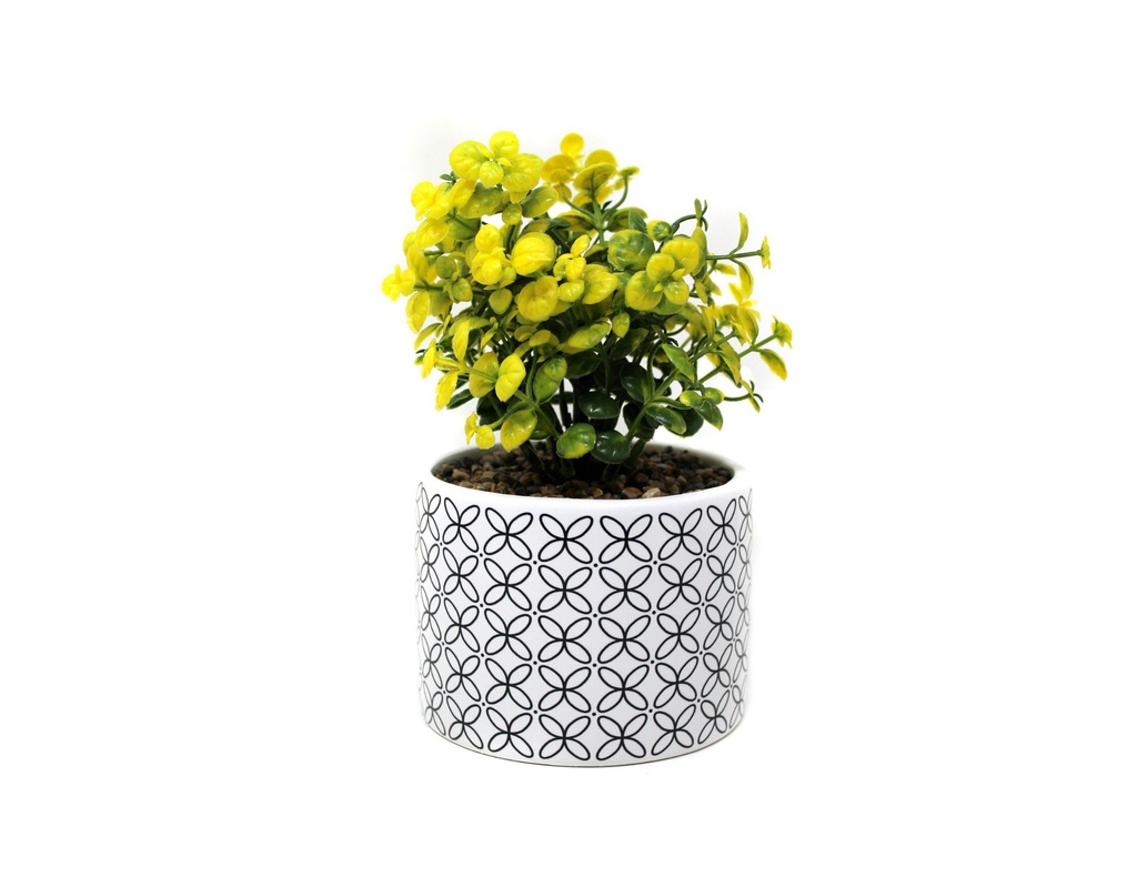 PLANTA CON MACETA CERAMICA N5 15X21 CR5