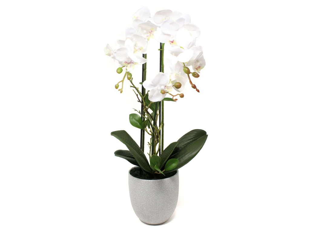ORQUIDEA N16 52 CM BLANCA O16