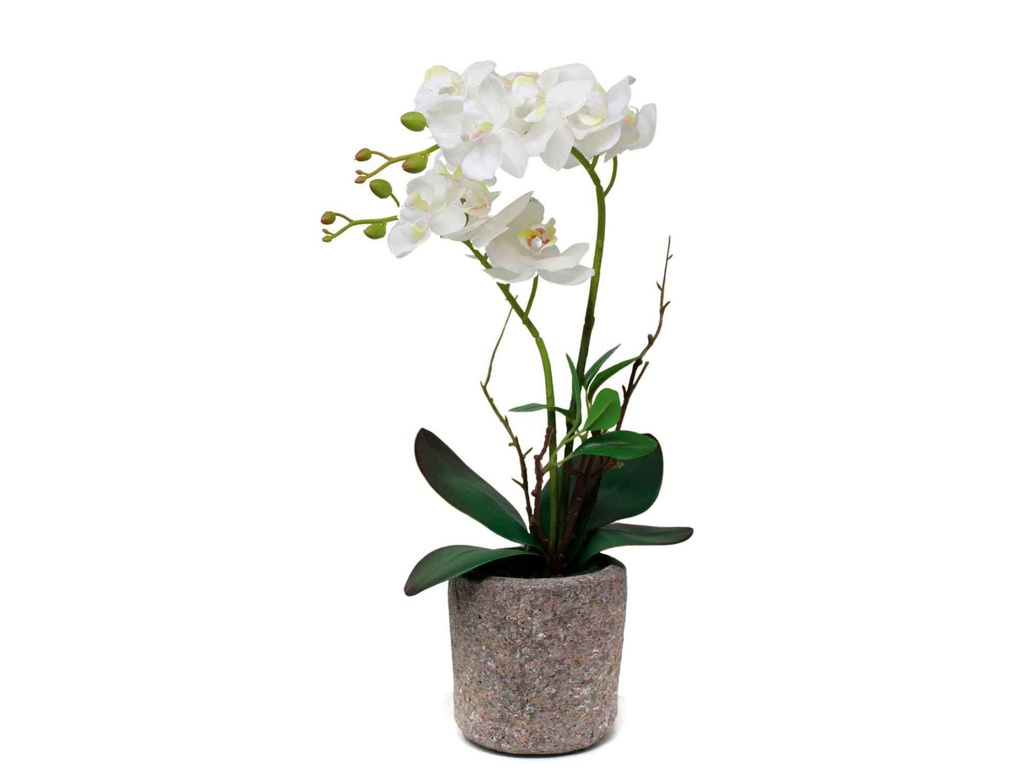 ORQUIDEA N9 43 CM BLANCA O9
