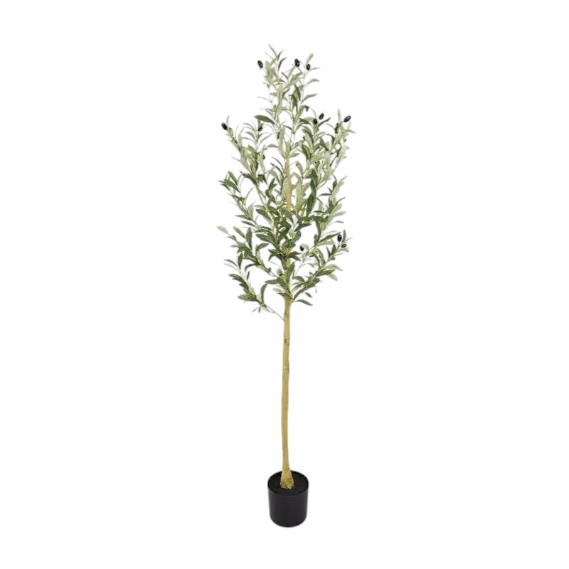PLANTA OLIVO 150 CM PL178