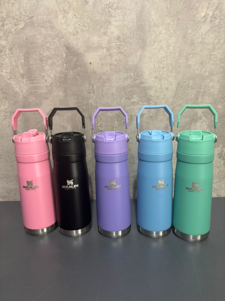 BOTELLA TERMICA FLIP 650ML YQ10085