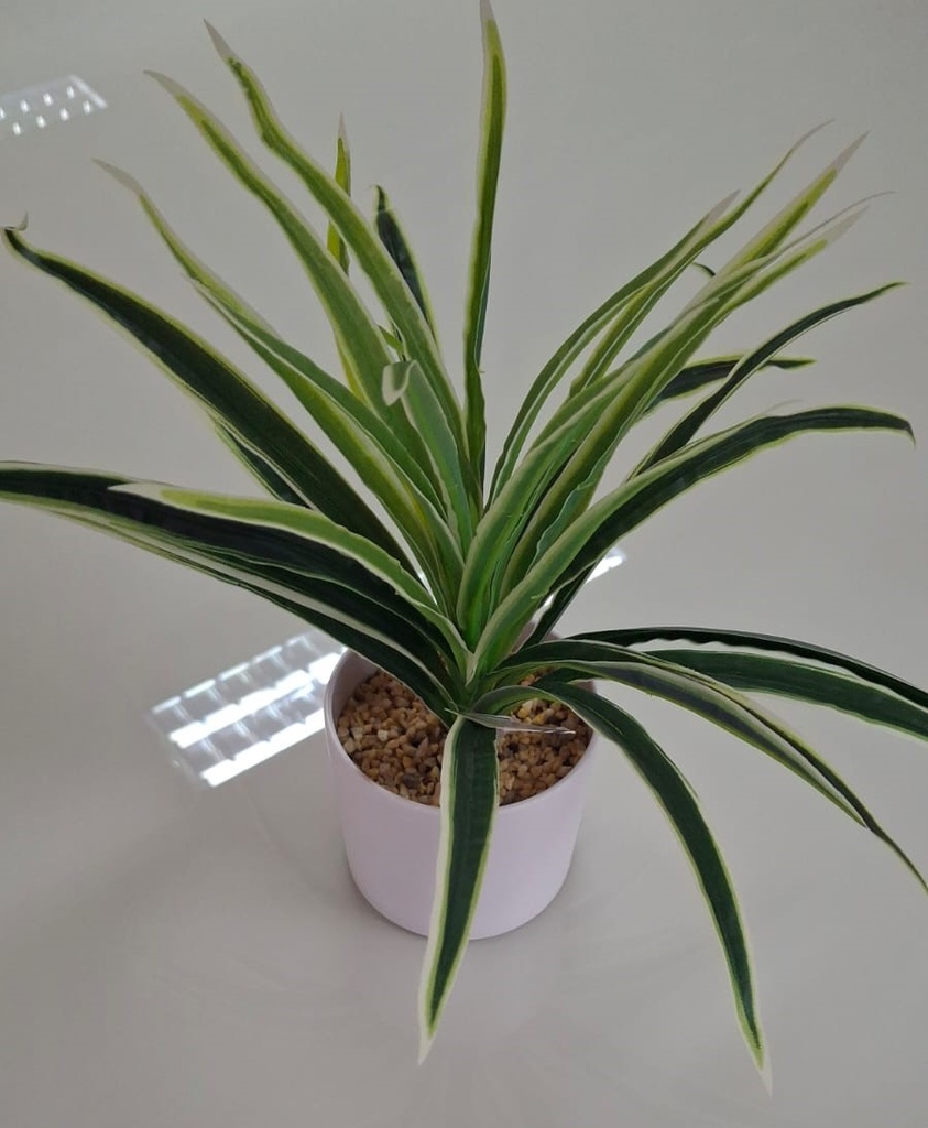 PLANTA 30CM FA165