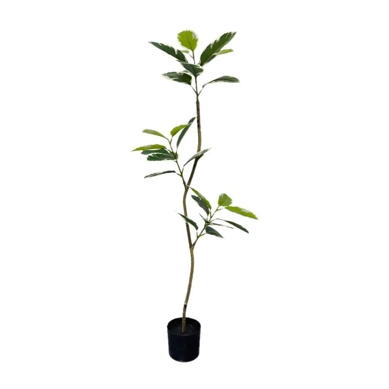 PLANTA 120CM PL210