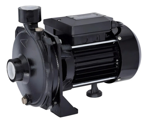 BOMBA CENTRIFUGA BTA SCM22 100 L/MIN 191264.2