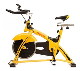 [22120002] BICICLETA RANDERS FIJA INDOOR ARG 889 SP