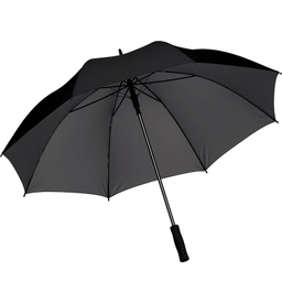 [33665029] PARAGÜA 27" APERTURA AUTOM.