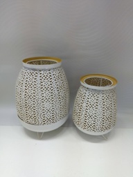 [33668317] FANAL DORADO CHICO