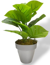 [16512027] PLANTA MATRI DE 35CM