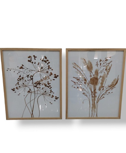 [33663080] CUADROS GIORDANO 40 X 50 X2