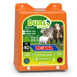 [03097001] ELECTRIFICADOR DUAL PICANA 12/220 V 40 KM 200450