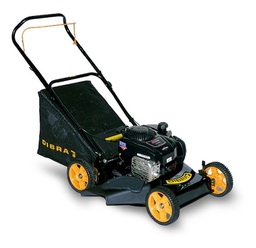 [03142007] CORTADORA DE CESPED