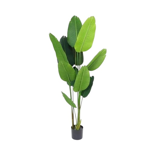 [33668100] PLANTA 150 CM PL139