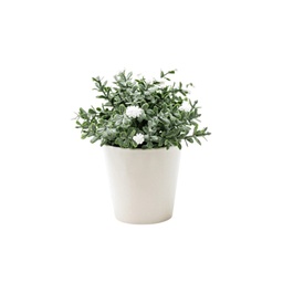 [33668111] BONSAI FLORES N 30A 8X15 BF30A BLANCO