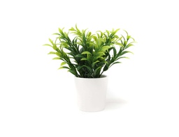 [33668117] BONSAI PLANTA N 54 12X17 CM BF54