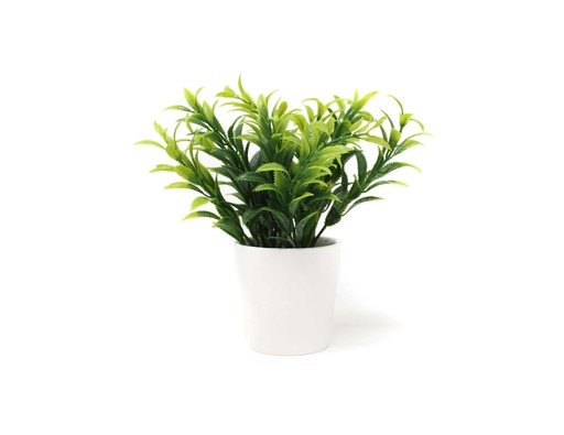 [33668117] BONSAI PLANTA N 54 12X17 CM BF54