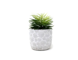 [33668119] PLANTA CON MAC CEMENTO N 21 8X13 CM 21