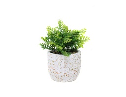 [33668121] PLANTA CON MACETA CEMENTO N27 5X14 CM CM27
