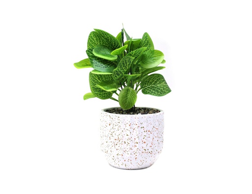 [33668123] PLANTA CON MACETA CEMENTO N 29 12X26 CM29