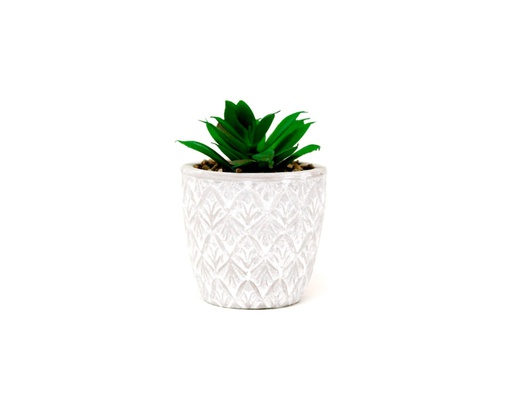 [33668124] PLANTA CON MACETA CEMENTO N8 5X10 CM CM8