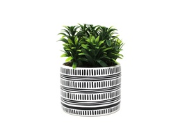 [33668126] PLANTA CON MACETA CERAMICA N4 12X17 CM CR4